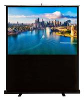 Экран 120х160см FloorCompactExpert CS-PSFLCE-160X120 4:3 напольный рулонный CACTUS 1070216 цена, купить