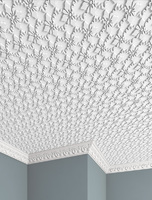Плитка потолочная бесшовная полистирол белая Формат Гейша 50 x см 2 м² FORMAT