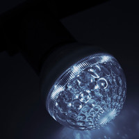 Лампа профессиональная строб E27 D50мм прозрачная - 411-125 NEON-NIGHT