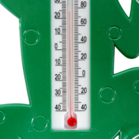 Термометр декоративный «Лягушка»