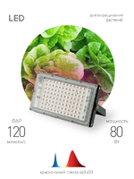 Прожектор светодиодный для растений Эра Fito 80 Вт красно-синий спектр розовый свет (Энергия света) аналоги, замены
