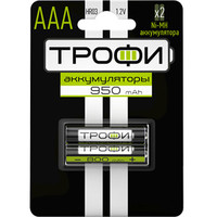 Аккумулятор HR03-2BL 950 mAh (20/240/17280) (AAA) | C0032097 ТРОФИ (блист.2шт) купить в Москве по низкой цене