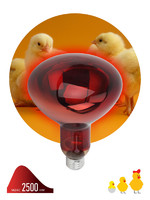 Инфракрасная лампа Эра для животных ИКЗК Е27 220-250 Вт R127 аналоги, замены