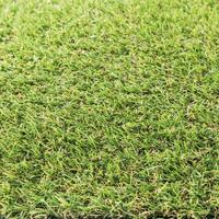Искусственный газон «Трава в рулоне» Naterial толщина 20 мм 2x5 м (рулон) цвет зеленый аналоги, замены