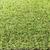 Искусственный газон «Трава в рулоне» Naterial толщина 20 мм 2x5 м (рулон) цвет зеленый