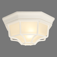 Светильник настенно-потолочный уличный Pegas 100 Вт IP65 цвет белый Arte Lamp