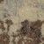 Ковровое покрытие Витебские ковры Дафна полиамид петлевой принт 5 м