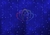 Гирлянда Светодиодный Дождь 2х1.5м постоянное свечение белый провод 220В синий NEON-NIGHT 235-113