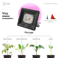 Прожектор светодиодный для растений Эра Fito 50 Вт 1500К IP65 красно-синий спектр розовый свет влагостойкий аналоги, замены