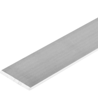 Полоса алюминиевая 15х2 мм 2 м цвет серебро