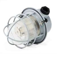 Светильник НСР 01-100/IP54-03-LED-36В/5000К рудничный Световод НР.004.01 цена, купить