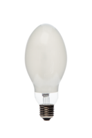 Лампа ртутная ДРЛ 700Вт 230В Е40 BL - 14098932 BELLIGHT купить в Москве по низкой цене