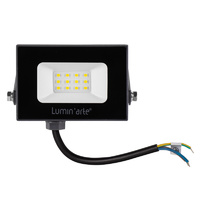 Прожектор светодиодный уличный Luminarte 10 Вт 5700K IP65 холодный белый свет Lumin`arte аналоги, замены