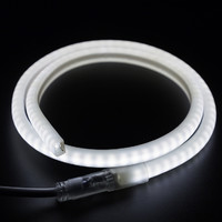 Гибкий Неон профессиональный LED SMD, форма - D, белый, 120 LED/м, бухта 100м 131-075 NEON-NIGHT