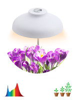 Светильник светодиодный настольный фито для растений/для грунта белый спектр FITO-12W-FLED | Б0039068 ЭРА (Энергия света)