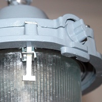 Светильник для ЖКХ под лампу НСП "Буран" 11-200-434 200Вт IP62 корпус алюминиевый литой ГУ | 1005550292 Элетех