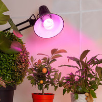 Эра 12 Вт E27 груша красно-синий спектр розовый свет Фитолампа светодиодная для растений