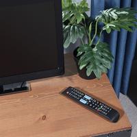 Пульт универсальный для телевизора с функцией SMART TV (ST-01) | 38-0030 REXANT