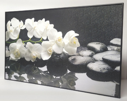 Картина в раме Белые орхидеи 60x100 см