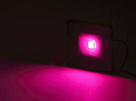 Прожектор светодиодный для растений Эра Fito 50 Вт 1500К IP65 красно-синий спектр розовый свет влагостойкий