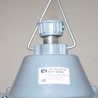 Светильник для ЖКХ под лампу НСП "Буран" 11-200-434 200Вт IP62 корпус алюминиевый литой ГУ | 1005550292 Элетех