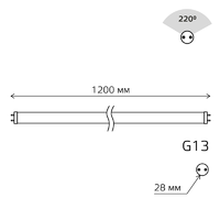 Лампа светодиодная Gauss Glass T8 G13 20 Вт холодный белый свет аналоги, замены