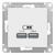 Розетка ATLASDESIGN USB 5В 1 порт x 2,1 А 2 порта х 1,05 механизм белый - ATN000133 Schneider Electric