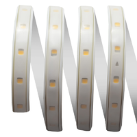 Комплект светодиодной ленты для уличной подсветки SMD 2835 60 диод/600 Лм/6 Вт/м 220 В IP65 5 м теплый белый свет APEYRON
