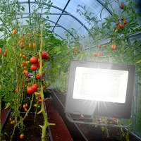 Прожектор светодиодный для растений Эра Fito 100 Вт полный спектр нейтральный белый свет (Энергия света)