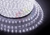 Шнур светодиодный дюралайт фиксинг круглый 13мм эконом. 220В IP54 бел. (уп.100м) NEON-NIGHT 121-125-4