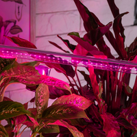 Эра Fito G13 9 В 220 Вт 296 Лм красно-синий спектр розовый свет Фитолампа светодиодная линейная для растений (Энергия света)