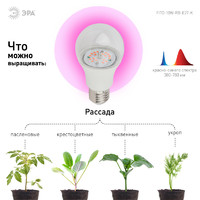 Эра E27 220 В 10 Вт 300 лм груша красно-синий спектр розовый свет Фитолампа светодиодная для растений