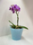 Горшок цветочный Ingreen London ø12.6 h11.3 см v1 л пластик голубой