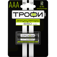 Аккумулятор HR03-2BL 650 mAh (20/240/17280) (AAA) | Б0019499 ТРОФИ (батарея (заряжаемый элемент питания) AAA/HR03-2BL купить в Москве по низкой цене