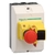 Корпус защитный IP55+кнопка для мотор-автоматов - GV2MCK04 Schneider Electric