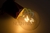Лампа накаливания профессиональная 10Вт E27 для BL прозрачная (10шт) - 401-119 NEON-NIGHT