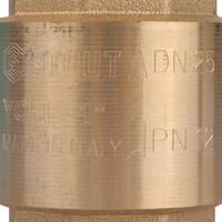 Клапан обратный пружинный муфтовый STOUT 1" с пластиковым седлом SVC-0012-000025 RG008T8CKQH3T9 1 цена, купить