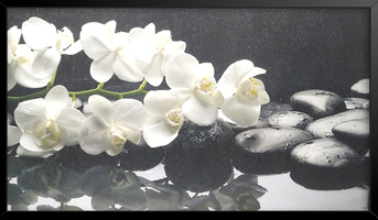 Картина в раме Белые орхидеи 60x100 см аналоги, замены