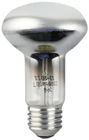Лампа накаливания 40Вт R63-40W-230-E27 | C0040648 ЭРА (Энергия света) E27 230 аналоги, замены