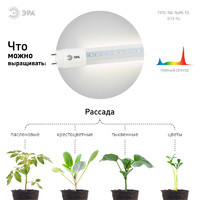 Эра T8 G13 9 Вт полноспектральный нейтральный белый свет Фитолампа светодиодная линейная для растений